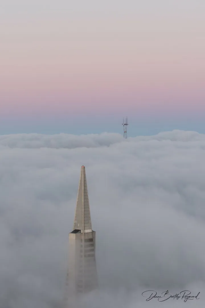 The tip of the Transamerica Pyramid rising out of a sea of fog at dawn